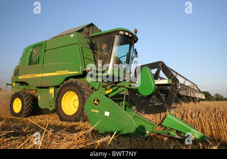 Moissonneuse-batteuse John Deer coupant la récolte dans un champ Dans l'Essex Banque D'Images