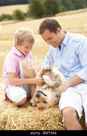 Père et fils assis avec chien sur des bottes de paille dans les champs récoltés Banque D'Images