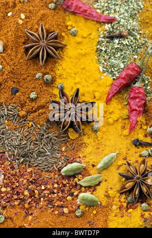 Mélange d'épices colorées exotiques avec différentes puissances et grain comme libre Banque D'Images