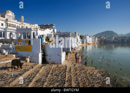 État du Rajasthan Inde Pushkar ville lac Pushkar Voyage Asie Janvier 2008 rive de l'eau maisons personnes banque Banque D'Images