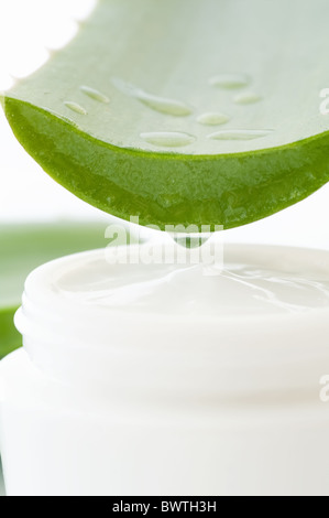 Congé avec Aloe Vera lotion blanc ouvert fort comme gros plan sur fond blanc Banque D'Images