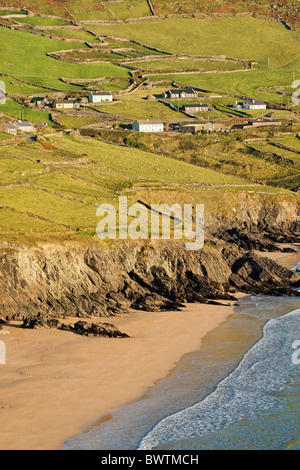 Coumeenoole Bay et plage, péninsule de Dingle, comté de Kerry, Munster, Irlande. Banque D'Images