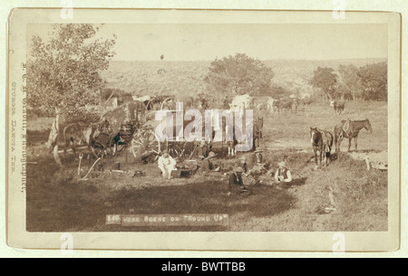 Scène Mess wild west cow-boy wagon Dakota USA chevaux Amérique États-Unis Amérique du Nord Photo agricole John Banque D'Images