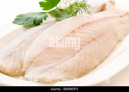 Filet de pangasius brutes de persil comme gros plan sur une plaque blanche Banque D'Images