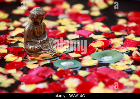 Bouddha en méditation dans un pool de roses Banque D'Images