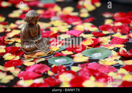Bouddha en méditation dans un pool de roses Banque D'Images