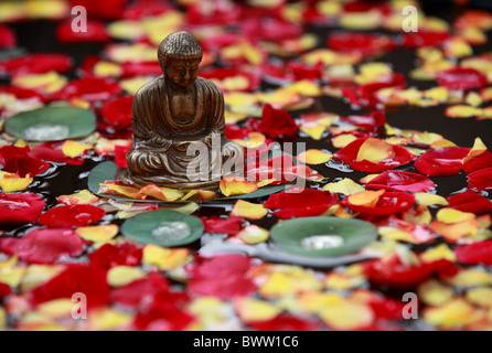 Bouddha en méditation dans un pool de roses Banque D'Images