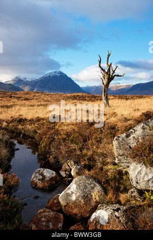 Buachaille Etive Mor de Rannoch Moor, Lochaber, Highland, Scotland, UK. Banque D'Images