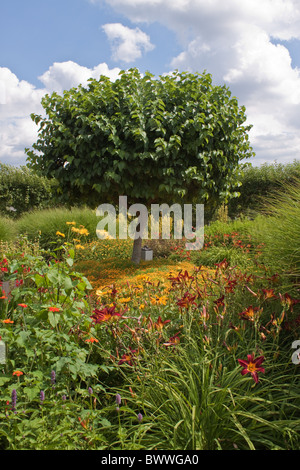 Dans les jardins de Loseley Park, Guildford, Surrey, UK Banque D'Images