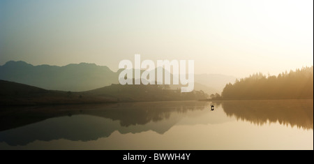 Llynnau Mymbyr près de Plas y Brenin, au nord du Pays de Galles, dans la brume matinale. Goose flying visibles près de l'eau Banque D'Images