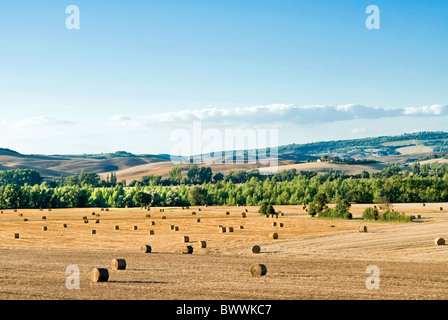 Campagne Près de San Qurico d'Orcia, Sienne, Toscane, Italie Banque D'Images