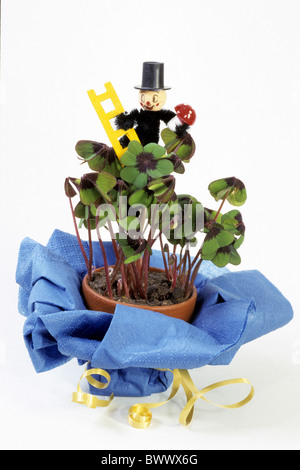 Bonne chance, feuille, Trèfle Trèfle à quatre feuilles, plante en pot avec cheminée-sweep décoration, studio photo. Banque D'Images