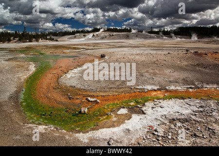 Bassin en porcelaine, Norris Geyser Basin, Parc National de Yellowstone Geyser Moulinet- Banque D'Images