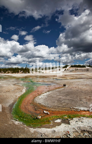 Bassin en porcelaine, Norris Geyser Basin, Parc National de Yellowstone Geyser Moulinet- Banque D'Images