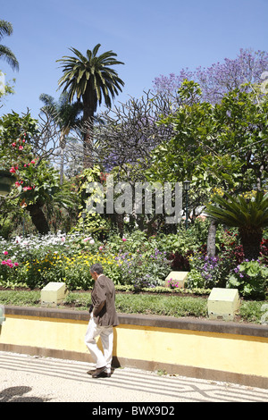 Portugal Madère Funchal jardin municipal Banque D'Images