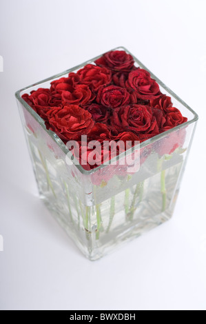 Couper les roses rouges dans un vase en verre carré présenté comme une pièce centrale moderne Banque D'Images