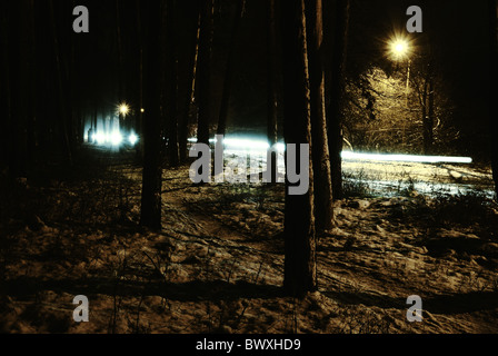 Forêt la nuit d'hiver Banque D'Images