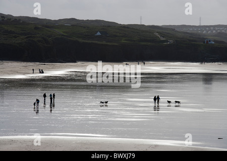Les gens et les chiens sur la plage au Gwithian dans la baie de St Ives, Cornwall, UK Banque D'Images
