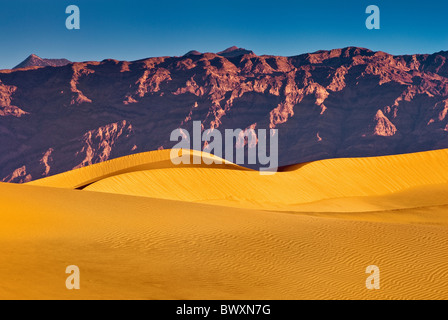 Télévision Mesquite sand dunes, Amargosa Range, sunrise, Death Valley, California, USA Banque D'Images