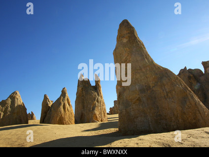 Désert des Pinnacles pierres érigées dans le Parc National de Nambung près de Cervantes dans l'ouest de l'Australie Banque D'Images