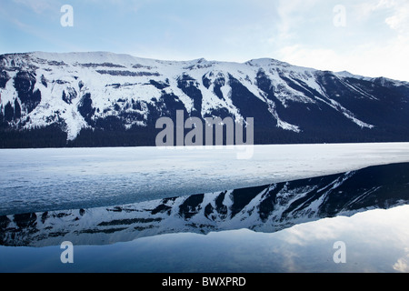 Région reflète dans partiellement congelée Moose Lake, le parc provincial du mont Robson, British Columbia, Canada Banque D'Images