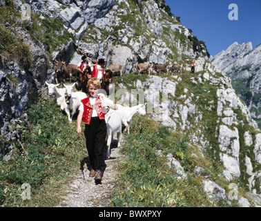 Alp alp déduction tradition folklore chèvres chèvres-nanny montagnes Appenzell Suisse Europe garçon Banque D'Images