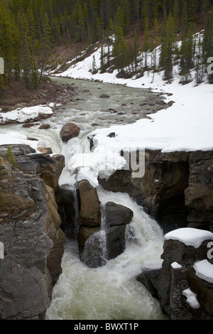 La rivière Sunwapta Falls et en hiver, en promenade des Glaciers, Jasper National Park, Alberta, Canada Banque D'Images