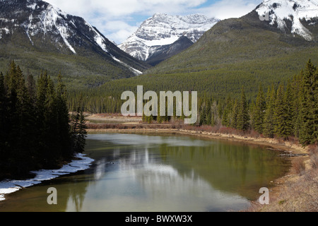 Oxbow Bend, de remous, la rivière Bow, près de Banff, Banff National Park, Rocheuses canadiennes, l'Alberta, Canada Banque D'Images