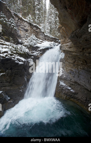 Johnston Canyon Lower Falls, en hiver, le parc national Banff, Rocheuses canadiennes, l'Alberta, Canada Banque D'Images
