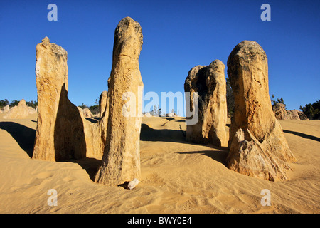 Menhirs de Ellis dans le Parc National de Nambung près de Cervantes dans l'ouest de l'Australie Banque D'Images