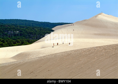 Les touristes marcher sur la Dune du Pyla avec la forêt des Landes visible à l'arrière-plan, la France. Banque D'Images