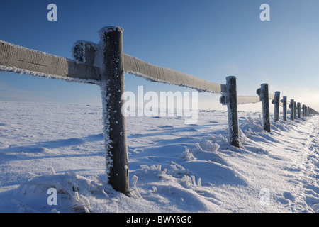 Clôture dans la neige, Wasserkuppe, Rhon Mountains, Hesse, Allemagne Banque D'Images