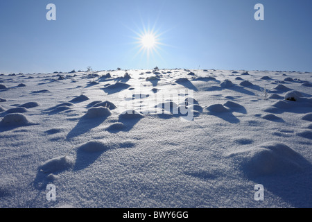 Bien sur la neige, champ Wasserkuppe, montagnes Rhon, Hesse, Allemagne Banque D'Images