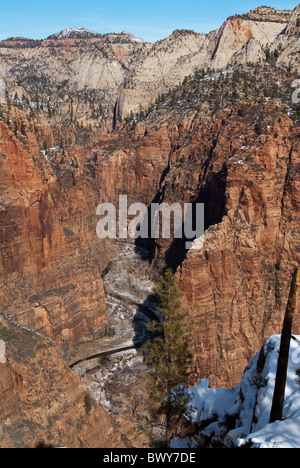 North Fork de Virgin River West Rim Trail Zion National Park Utah USA Banque D'Images