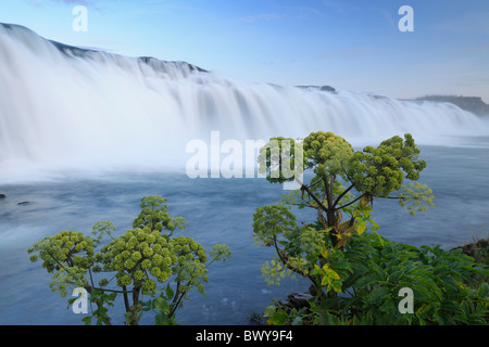 Faxifoss, Islande Banque D'Images