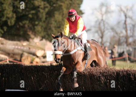 Welsh Borders 2009 Point à Point Banque D'Images