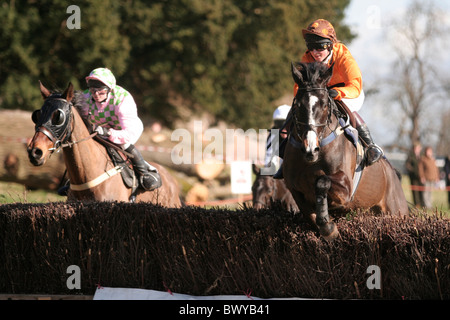 Welsh Borders 2009 Point à Point Banque D'Images