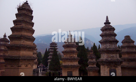 Forêt de la pagode, Monastère de Shaolin, Dengfeng, province du Henan, Chine Banque D'Images