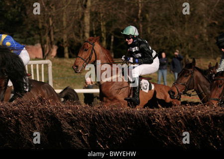 Welsh Borders 2009 Point à Point Banque D'Images