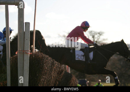 Welsh Borders 2009 Point à Point Banque D'Images