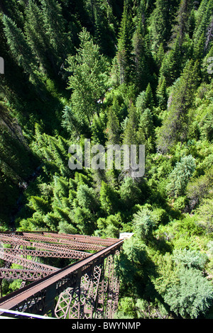 Vue de dessus de la cime des arbres au milieu de la Kelly Creek Trestle, plus haut et le plus long de la ponts le long de l'Iha Banque D'Images