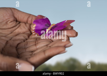 Black woman's hands holding purple butterfly Banque D'Images