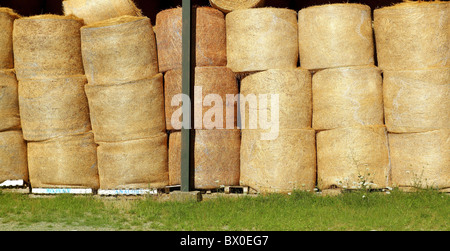 Blé round bales stacked lignes stock séché forme du cercle d'or Banque D'Images