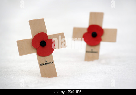 Les coquelicots DU JOUR DU SOUVENIR BRITANNIQUE DANS LA NEIGE Banque D'Images