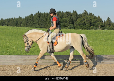 Jeune portant un corps protecteur sur dos d'un cheval au trot norvégien Banque D'Images