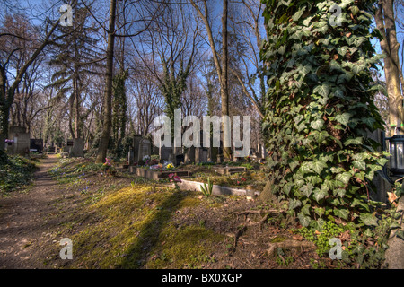 Cimetière historique Olsany à Prag, République Tchèque Banque D'Images