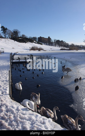 Étang gelé dans Keptie Arbroath parc Angus Scotland Décembre 2010 Banque D'Images