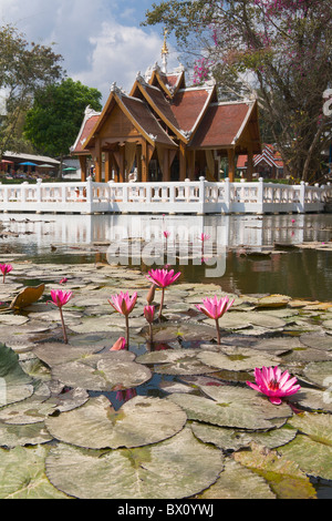 Temple thaïlandais 'wat nam hoo' entouré par l'eau avec des fleurs de lotus près de pai, Thaïlande Banque D'Images