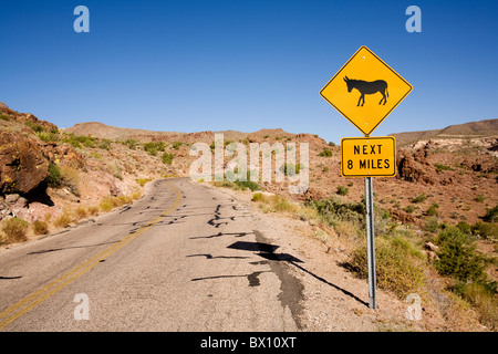 Surveillez les signes d'ânes dot vieille Route 66 sur l'entrée de la ville fantôme de Oatman, Arizona, USA Banque D'Images
