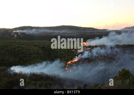 Les flammes et la fumée épaisse passer de un énorme feu de forêt sur le Mont Carmel dans le nord d'Israël. Le feu consomme une grande partie de la forêt méditerranéenne couvrant la région et réclamé 44 vies, ce qui en fait le plus meurtrier en Israël. Banque D'Images